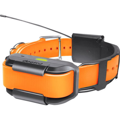 Dogtra Pathfinder Extra Collar