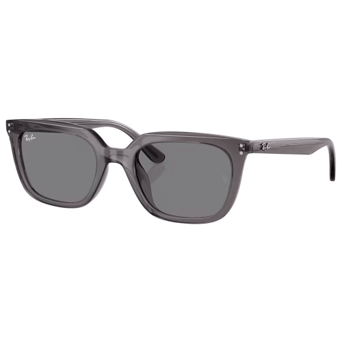 Ray-Ban RB4439D Sunglasses