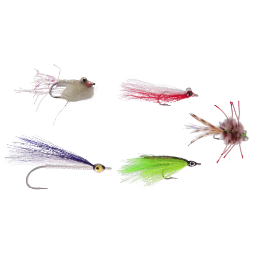 Perfect Hatch Premium 5-Pack Saltwater Fly Assortment