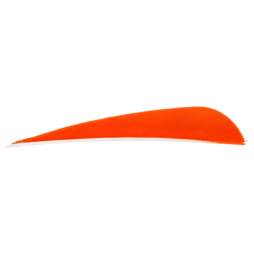 Gateway Feathers Right-Wing Archery Feathers