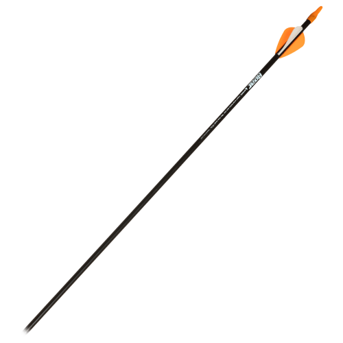 Bear Archery Lit'l Brave Arrows