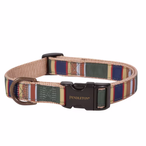 Pendleton Pet Badlands National Park Hiker Dog Collar