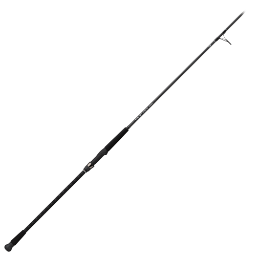 Daiwa Emcast Surf Spinning Rod