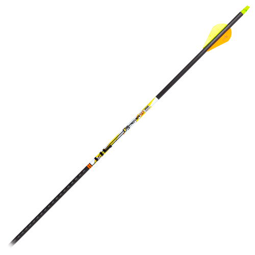 Carbon Express D-Stroyer SD Carbon Arrows