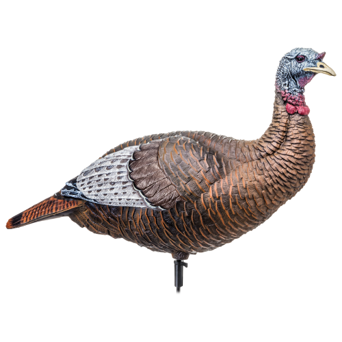 flextone Thunder Chick Upright Hen Turkey Decoy