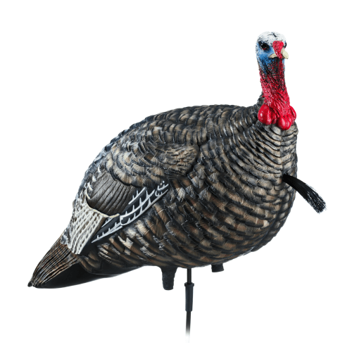 Avian-X LCD Lifelike Collapsible Decoy Jake Turkey Decoy