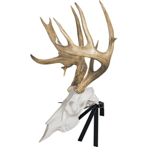 Mountain Mike's Reproductions The Positioner Mount Holder