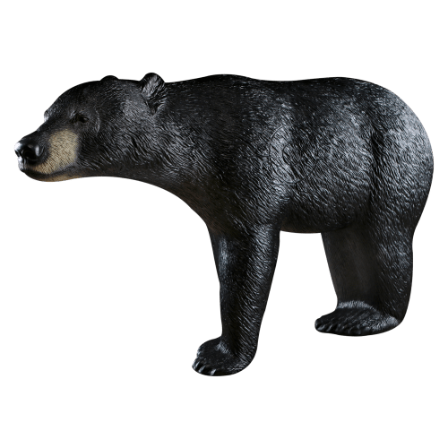 BlackOut Signature 3D Bear Archery Target