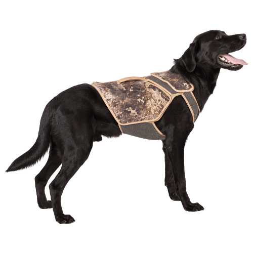 Northern Flight Renegade ONE Dog Vest
