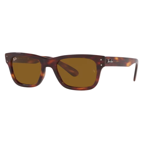 Ray-Ban Mr. Burbank RB2283 Glass Sunglasses