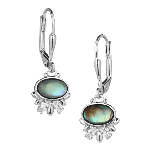 Montana Silversmiths Aurora Lights Crystal Earrings