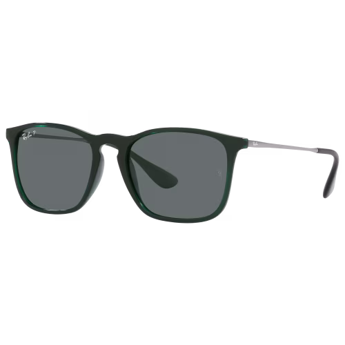 Ray-Ban Chris RB4187 Polarized Sunglasses