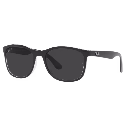 Ray-Ban RB4374 Glass Polarized Sunglasses