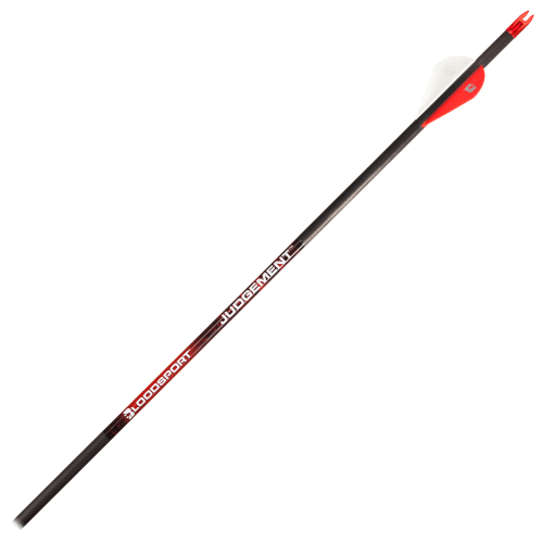 BloodSport Judgement Compound Arrows