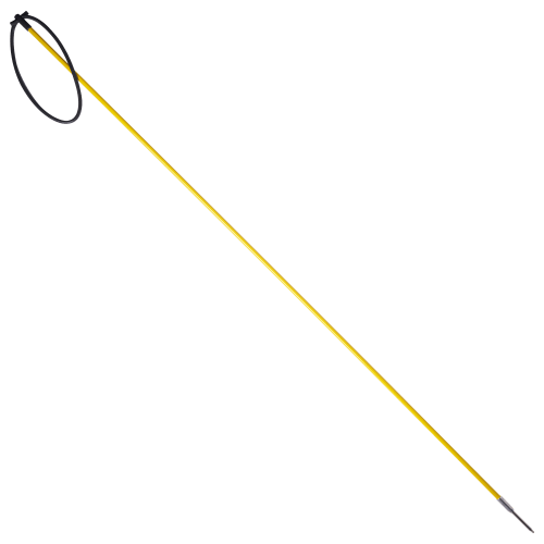 Marine Sports Pole Spear with Sling