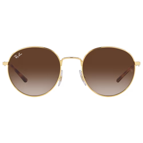 Ray-Ban RB3681 Gradient Sunglasses