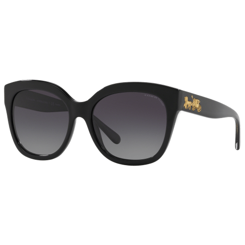 Coach HC8264 Polarized Sunglasses for Ladies