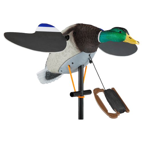 Lucky Duck Lucky Pull-String Duck Decoy
