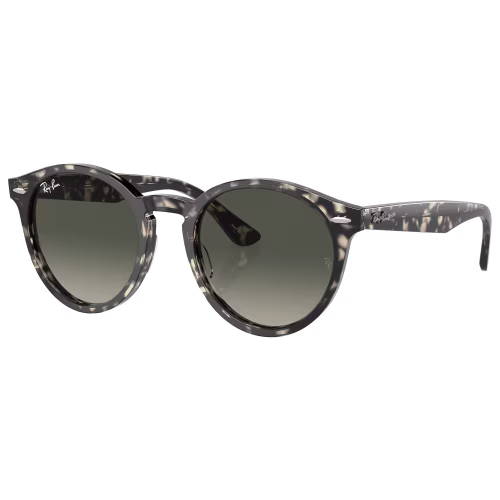Ray-Ban Larry RB7680S Gradient Glass Sunglasses
