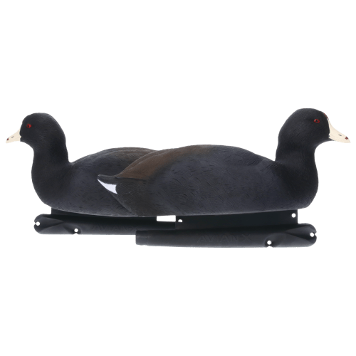 Avian-X TopFlight Coot Decoys