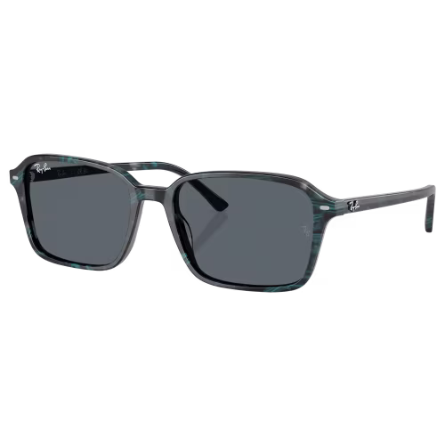 Ray-Ban Raimond RB2231 Glass Sunglasses