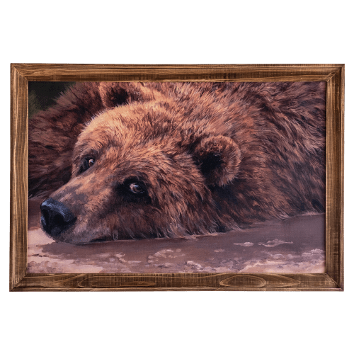 Open Road Brands Bear Framed MDF Wall Art by Bonnie Marris