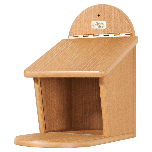 Birds Choice Squirrel Creek Squirrel Munch Box Feeder