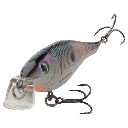 Bass Pro Shops XPS Shallow Suspending Rad Shad