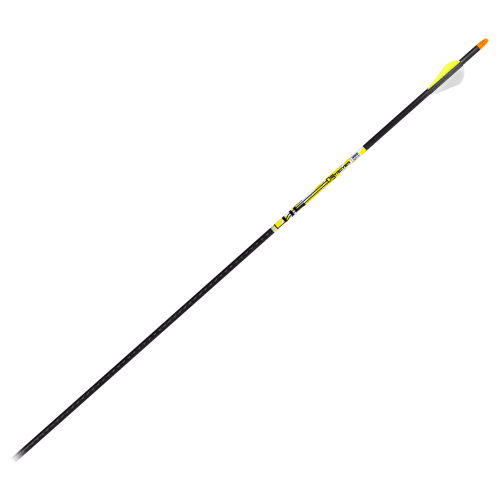 Carbon Express D-Stroyer Carbon Arrows