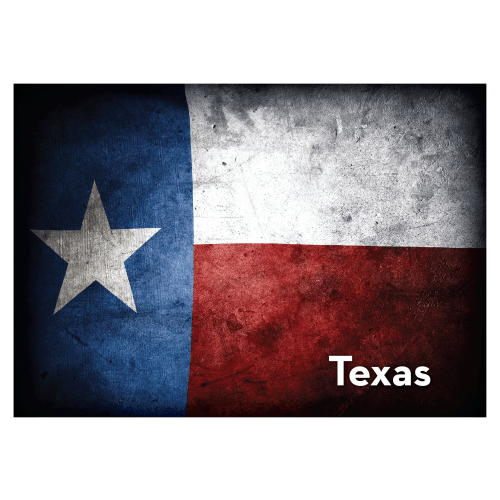 Everyone Loves Buttons Texas Flag Souvenir Magnet