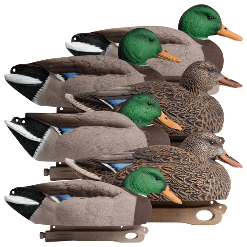 Hardcore Rugged Series Magnum Mallard Decoys