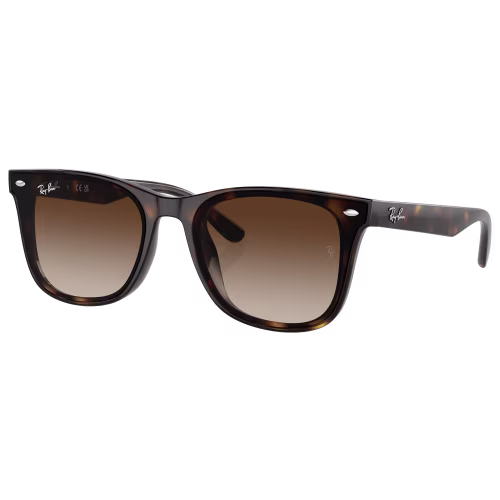 Ray-Ban RB4420 Gradient Sunglasses