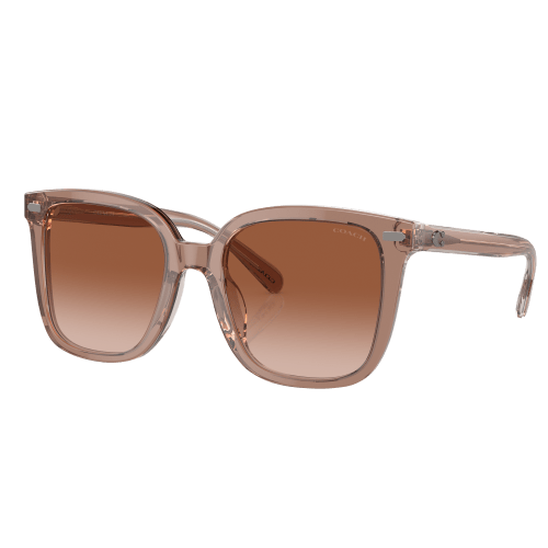 Coach HC8381U Sunglasses for Ladies