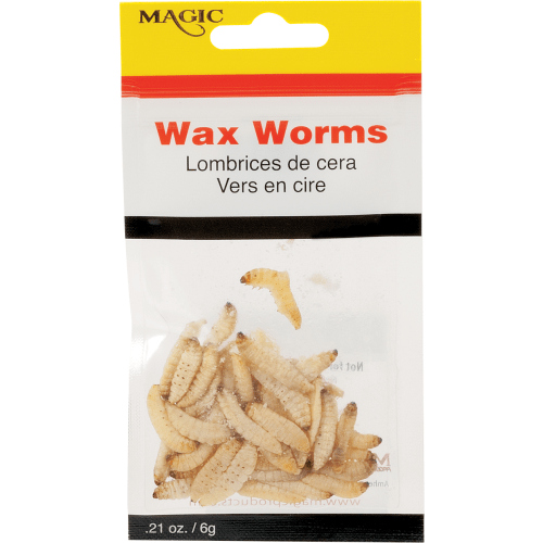 Magic Preserved Wax Worms