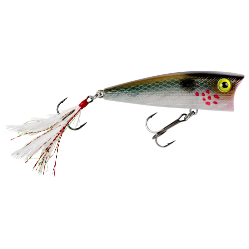 Rebel Pop-R P71