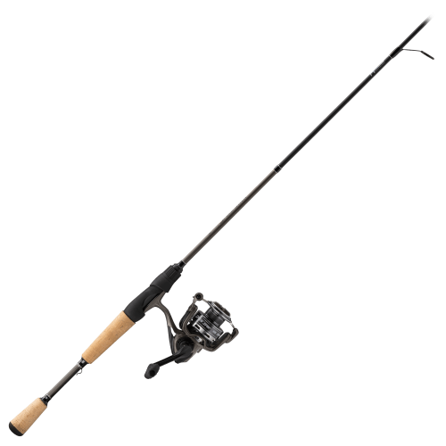Lew's Speed Spin Spinning Combo