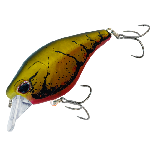Nomad Design Atlas Squarebill Crankbait