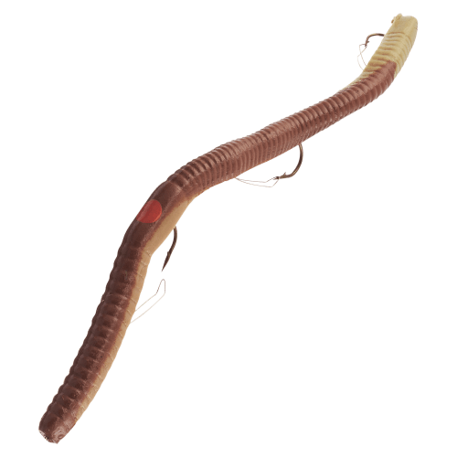 Bass Stopper Lures Weedless Rigged Worm