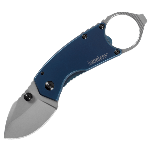 Kershaw Antic Folding Knife