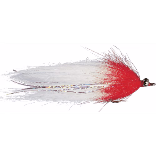 Rainy's CF Whistler