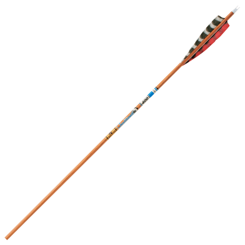 Gold Tip Traditional XT Arrows