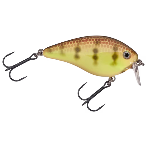 Strike King KVD 1.5 Shallow Runner