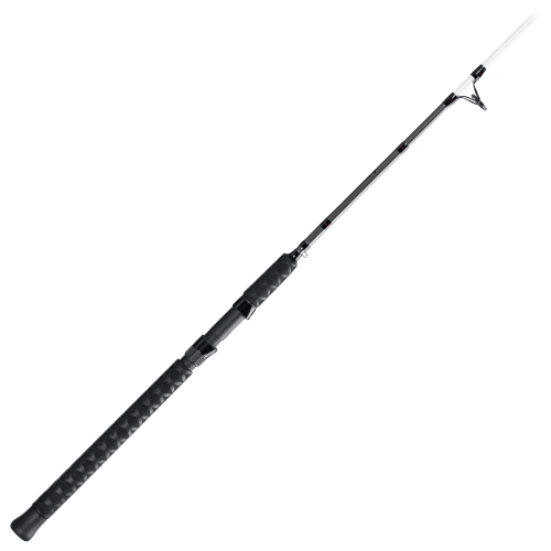Bass Pro Shops CatMaxx Spinning Rod