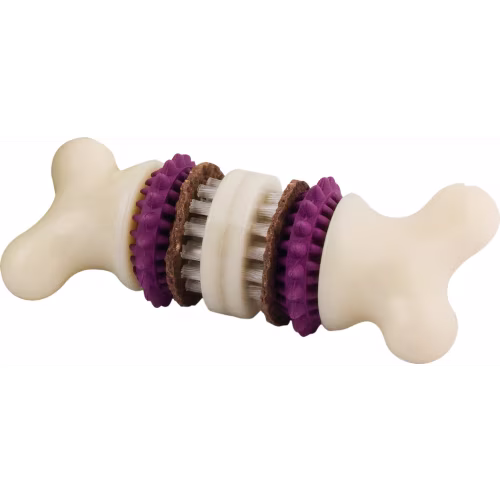 Premier Busy Buddy Bristle Bone