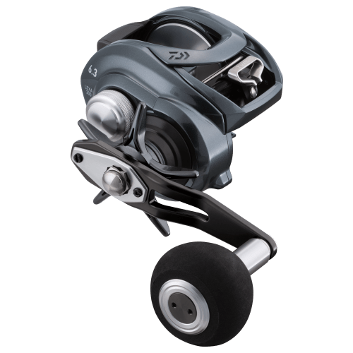 Daiwa Lexa TW Baitcast Reel