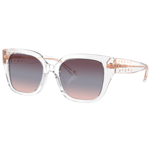 Coach HC8392U Sunglasses for Ladies