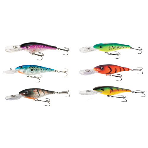 Bass Pro Shops XPS Floating Shad Kit