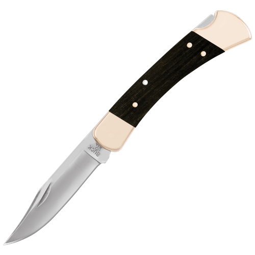 Buck 110 Folding Hunter Knife