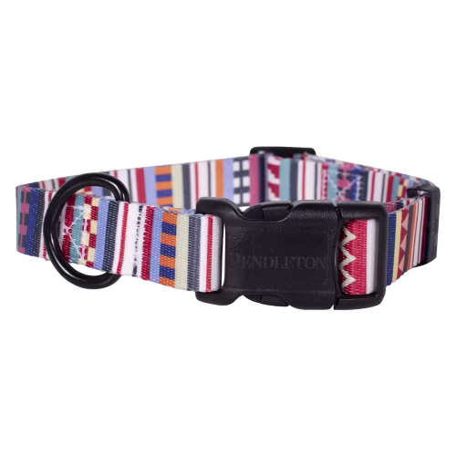 Pendleton Pet Tamiami Adventure Dog Collar