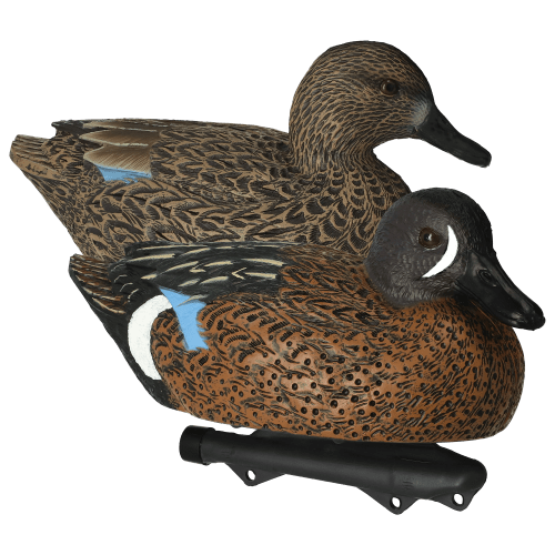 Northern Flight Blue-Winged Teal Duck Decoys